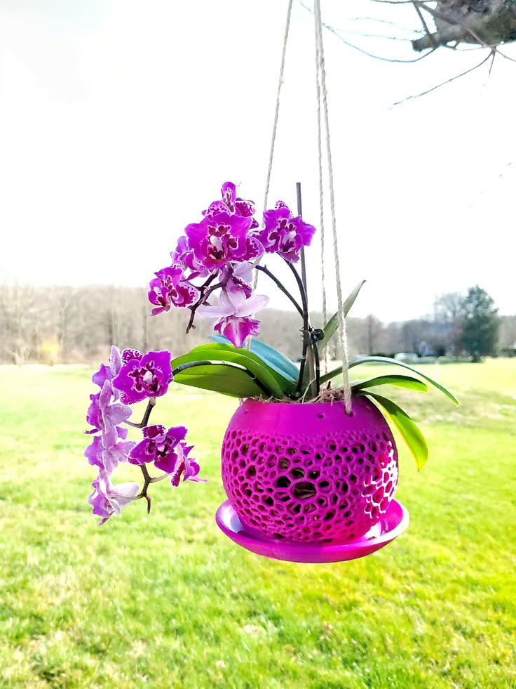 Purple Voronoi-style orchid planter with an integrated drip tray
